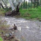 Australia z Jacob's Creek<br>Beautiful Barossa Valley...