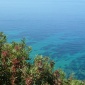 Korsyka... 